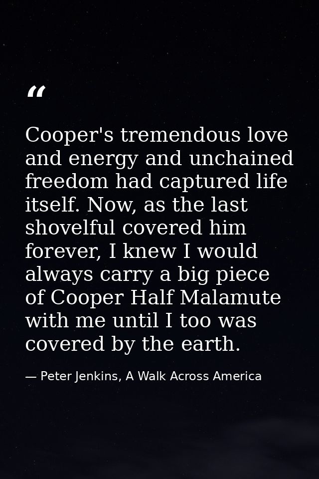 Cooper's tremendous love and energy and unchained freedom had captured life itself. Now, as the last shovelful covered h — Peter Jenkins, A Walk Across America