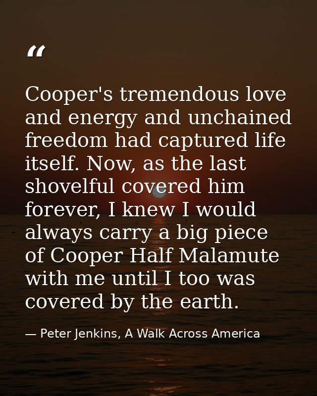 Cooper's tremendous love and energy and unchained freedom had captured life itself. Now, as the last shovelful covered h — Peter Jenkins, A Walk Across America
