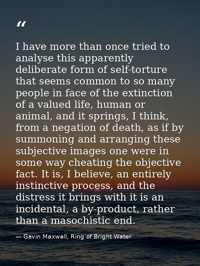 I have more than once tried to analyse this apparently deliberate form of self-torture that seems common to so many peop — Gavin Maxwell, Ring of Bright Water