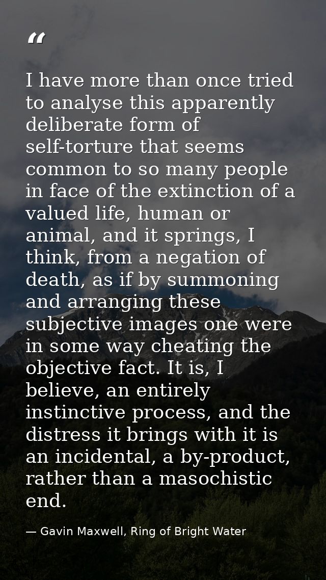 I have more than once tried to analyse this apparently deliberate form of self-torture that seems common to so many peop — Gavin Maxwell, Ring of Bright Water