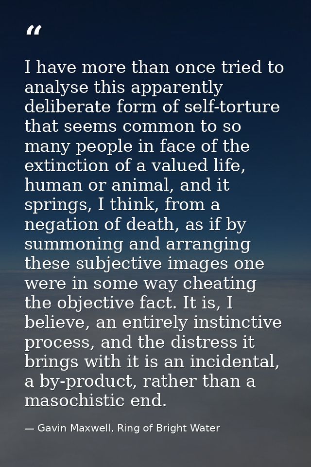 I have more than once tried to analyse this apparently deliberate form of self-torture that seems common to so many peop — Gavin Maxwell, Ring of Bright Water