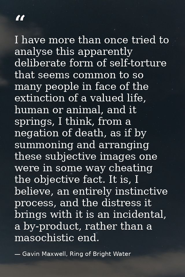 I have more than once tried to analyse this apparently deliberate form of self-torture that seems common to so many peop — Gavin Maxwell, Ring of Bright Water