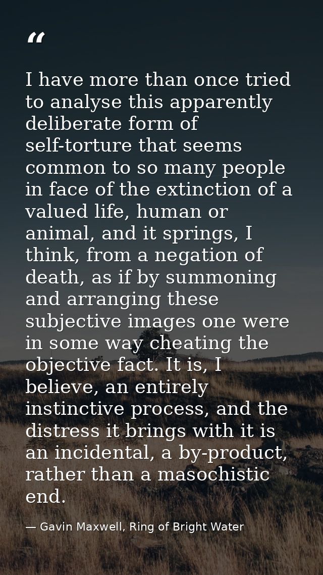 I have more than once tried to analyse this apparently deliberate form of self-torture that seems common to so many peop — Gavin Maxwell, Ring of Bright Water
