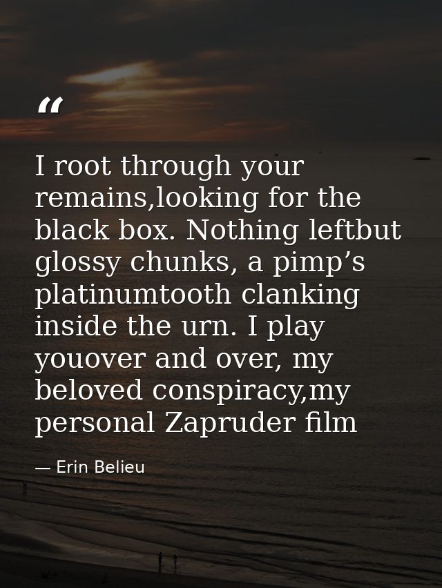 I root through your remains,looking for the black box. Nothing leftbut glossy chunks, a pimp’s platinumtooth clanking in — Erin Belieu