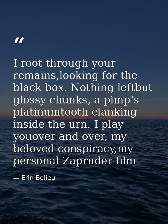 I root through your remains,looking for the black box. Nothing leftbut glossy chunks, a pimp’s platinumtooth clanking in — Erin Belieu