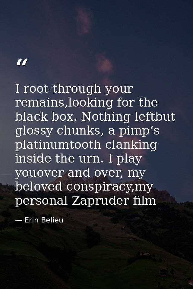 I root through your remains,looking for the black box. Nothing leftbut glossy chunks, a pimp’s platinumtooth clanking in — Erin Belieu