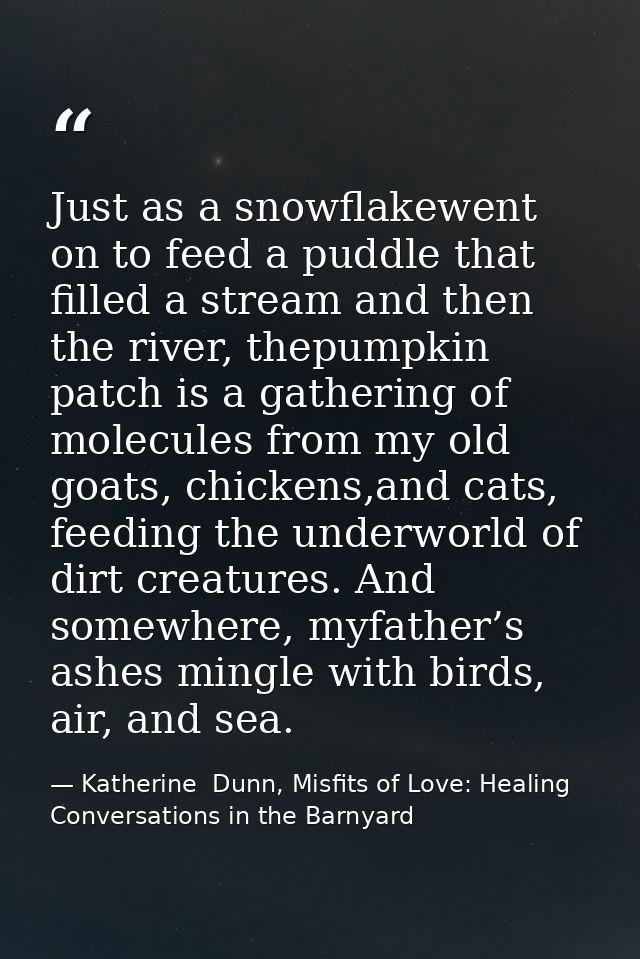 Just as a snowflakewent on to feed a puddle that filled a stream and then the river, thepumpkin patch is a gathering of  — Katherine  Dunn, Misfits of Love: Healing Conversations in the Barnyard