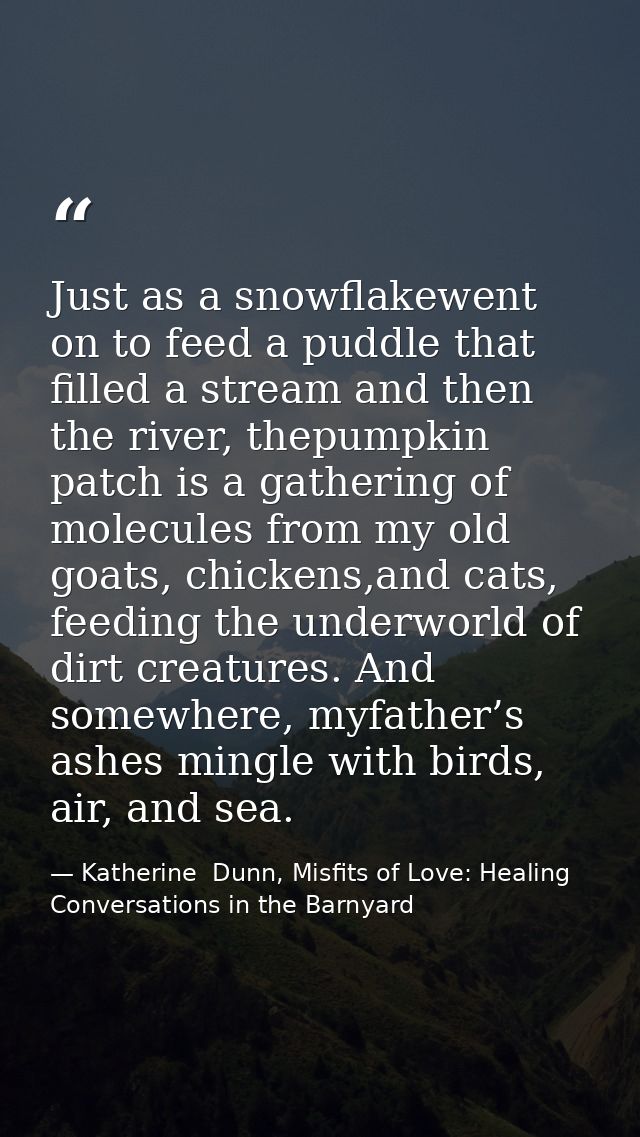 Just as a snowflakewent on to feed a puddle that filled a stream and then the river, thepumpkin patch is a gathering of  — Katherine  Dunn, Misfits of Love: Healing Conversations in the Barnyard
