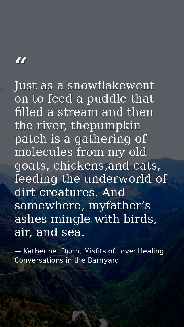 Just as a snowflakewent on to feed a puddle that filled a stream and then the river, thepumpkin patch is a gathering of  — Katherine  Dunn, Misfits of Love: Healing Conversations in the Barnyard