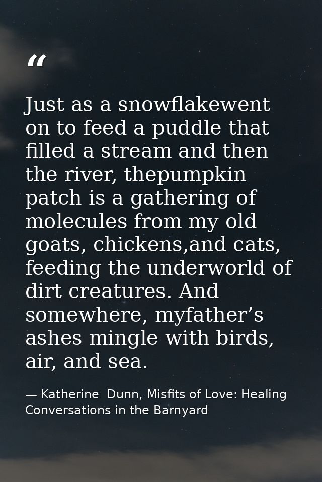 Just as a snowflakewent on to feed a puddle that filled a stream and then the river, thepumpkin patch is a gathering of  — Katherine  Dunn, Misfits of Love: Healing Conversations in the Barnyard