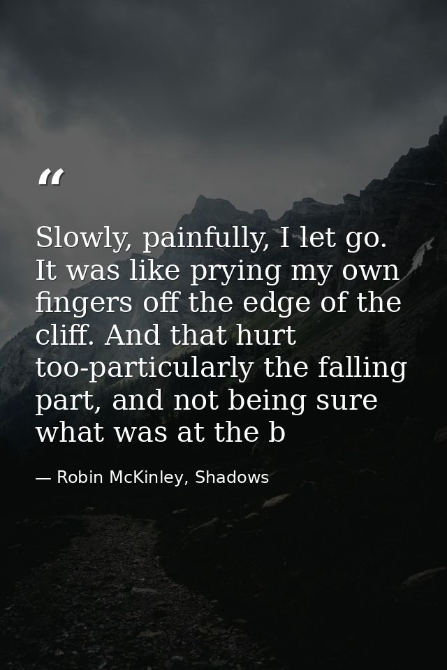 Slowly, painfully, I let go. It was like prying my own fingers off the edge of the cliff. And that hurt too-particularly — Robin McKinley, Shadows