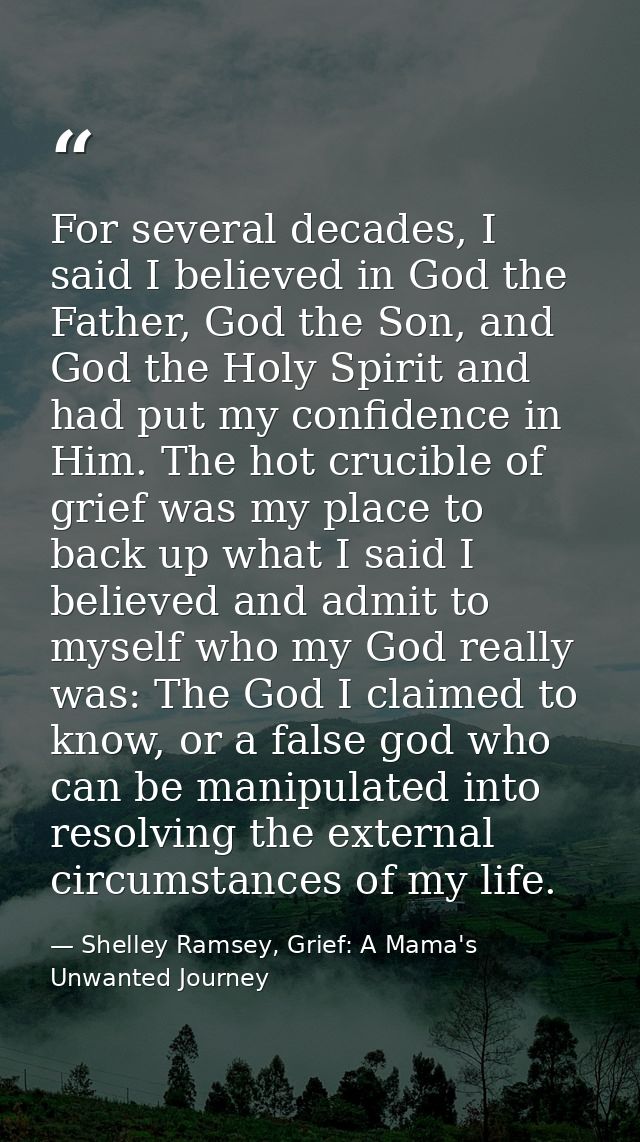 For several decades, I said I believed in God the Father, God the Son, and God the Holy Spirit and had put my confidence — Shelley Ramsey, Grief: A Mama's Unwanted Journey