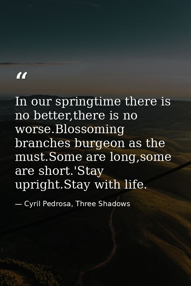 In our springtime there is no better,there is no worse.Blossoming branches burgeon as the must.Some are long,some are sh — Cyril Pedrosa, Three Shadows