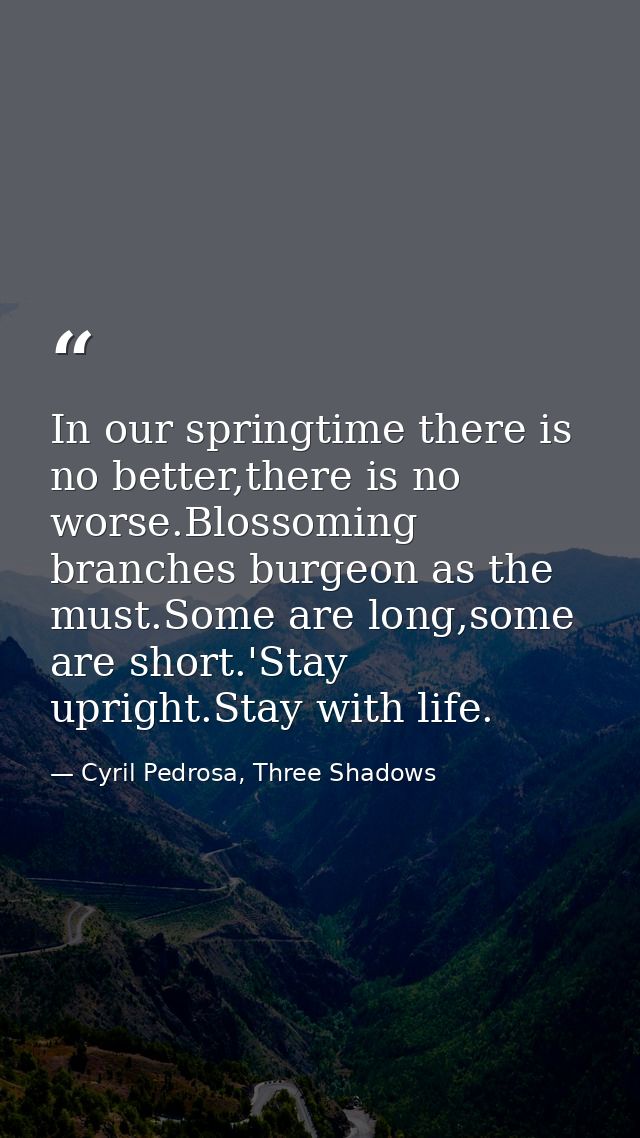 In our springtime there is no better,there is no worse.Blossoming branches burgeon as the must.Some are long,some are sh — Cyril Pedrosa, Three Shadows