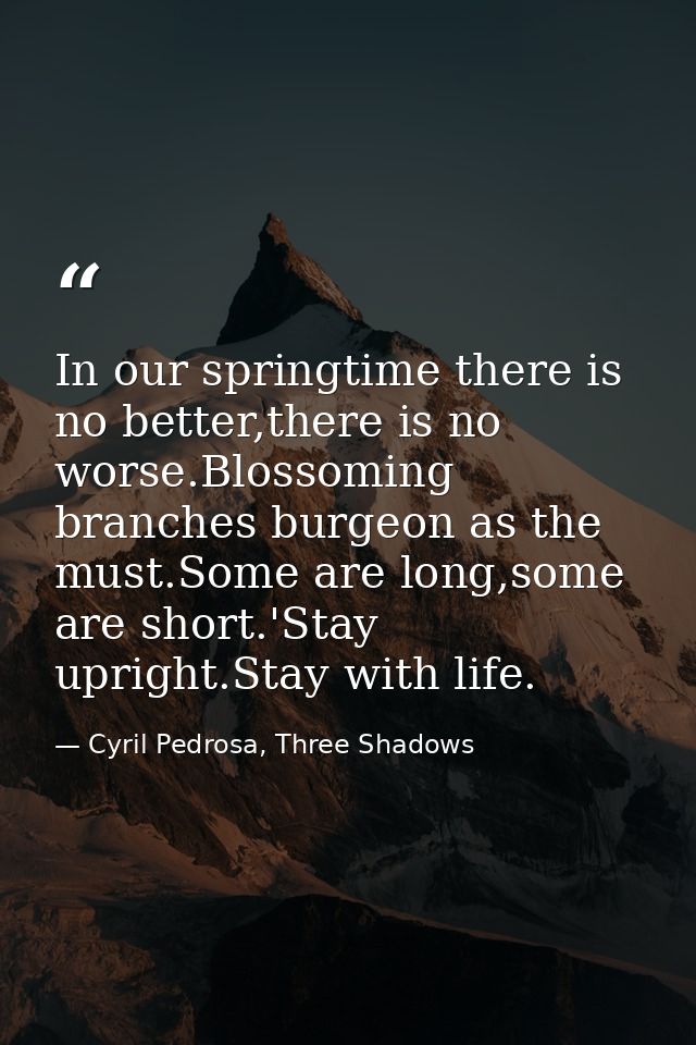 In our springtime there is no better,there is no worse.Blossoming branches burgeon as the must.Some are long,some are sh — Cyril Pedrosa, Three Shadows