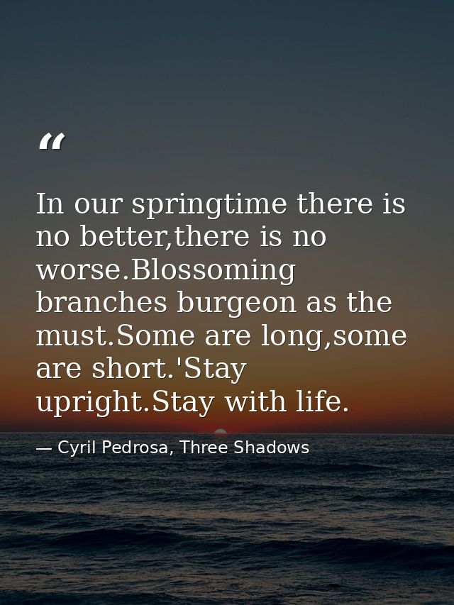 In our springtime there is no better,there is no worse.Blossoming branches burgeon as the must.Some are long,some are sh — Cyril Pedrosa, Three Shadows