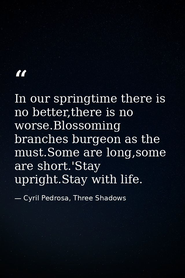 In our springtime there is no better,there is no worse.Blossoming branches burgeon as the must.Some are long,some are sh — Cyril Pedrosa, Three Shadows