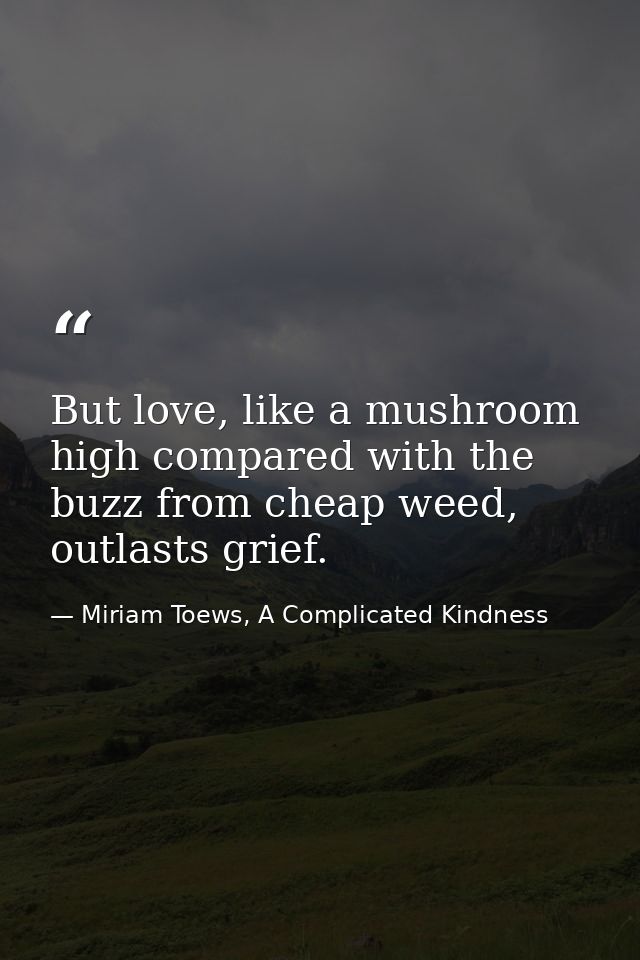 But love, like a mushroom high compared with the buzz from cheap weed, outlasts grief. — Miriam Toews, A Complicated Kindness