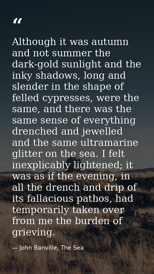 Although it was autumn and not summer the dark-gold sunlight and the inky shadows, long and slender in the shape of fell — John Banville, The Sea
