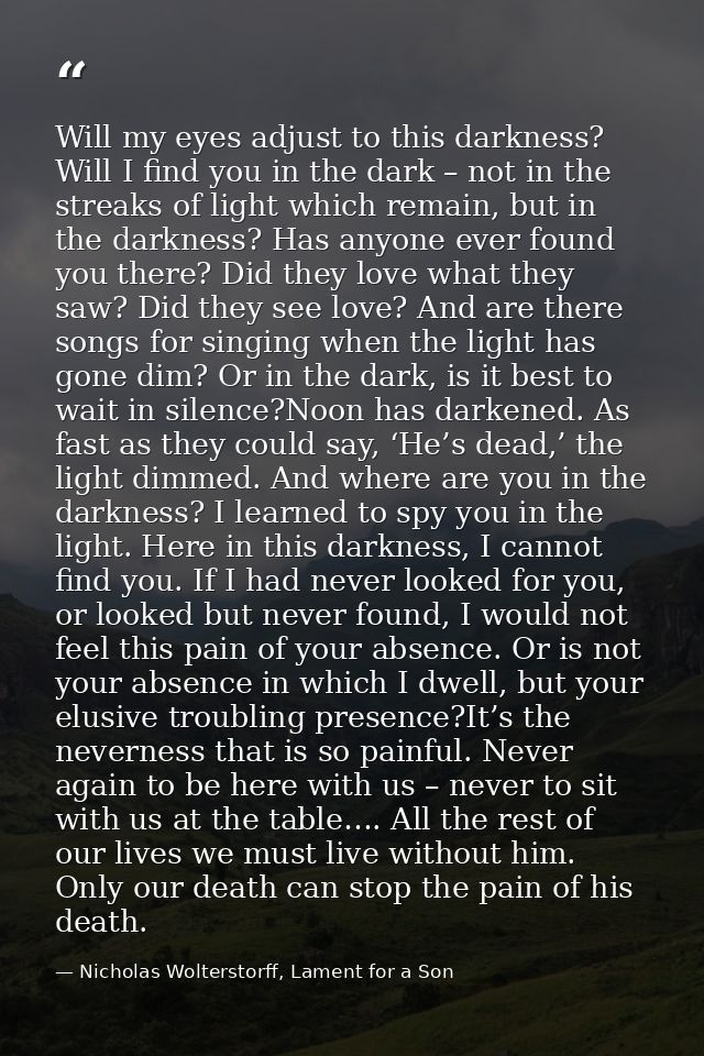 Will my eyes adjust to this darkness? Will I find you in the dark – not in the streaks of light which remain, but in the — Nicholas Wolterstorff, Lament for a Son