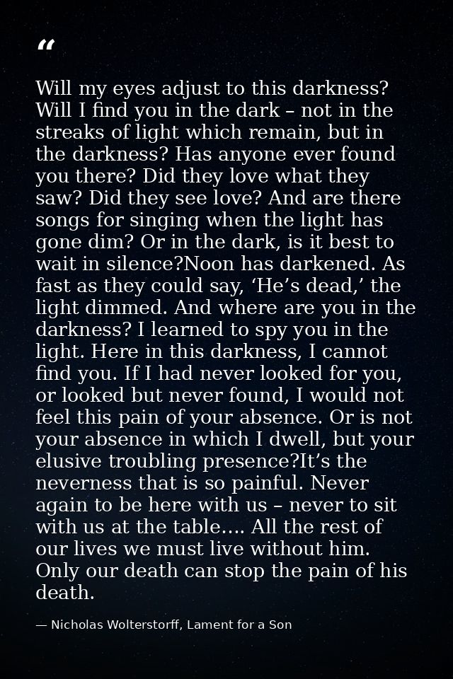 Will my eyes adjust to this darkness? Will I find you in the dark – not in the streaks of light which remain, but in the — Nicholas Wolterstorff, Lament for a Son