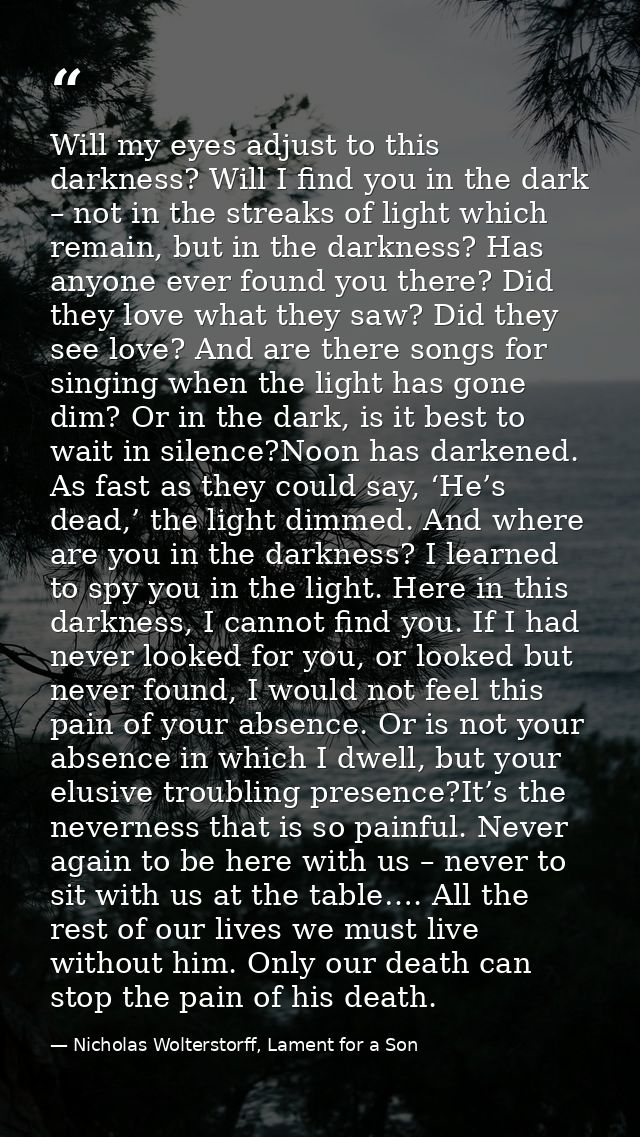 Will my eyes adjust to this darkness? Will I find you in the dark – not in the streaks of light which remain, but in the — Nicholas Wolterstorff, Lament for a Son
