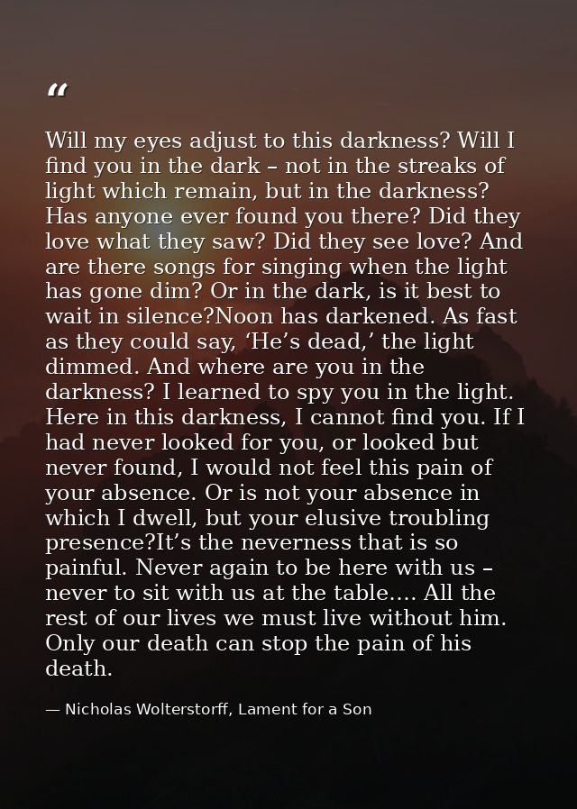 Will my eyes adjust to this darkness? Will I find you in the dark – not in the streaks of light which remain, but in the — Nicholas Wolterstorff, Lament for a Son