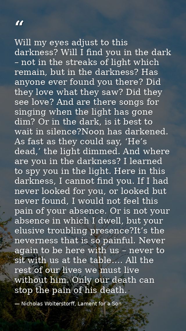 Will my eyes adjust to this darkness? Will I find you in the dark – not in the streaks of light which remain, but in the — Nicholas Wolterstorff, Lament for a Son
