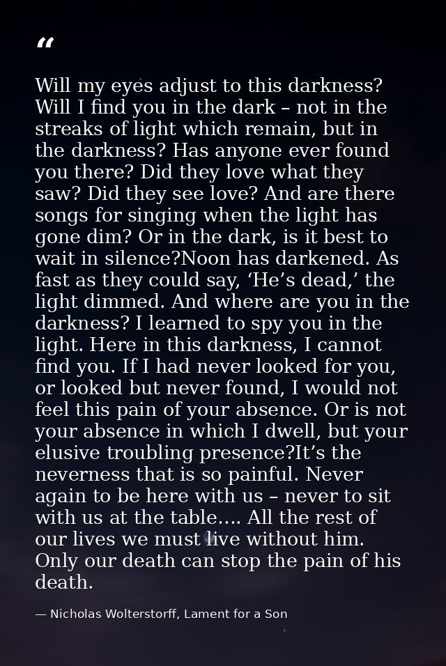 Will my eyes adjust to this darkness? Will I find you in the dark – not in the streaks of light which remain, but in the — Nicholas Wolterstorff, Lament for a Son