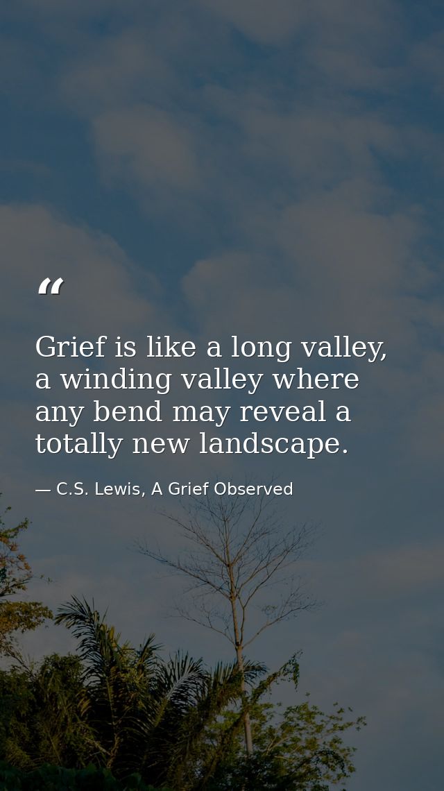 Grief is like a long valley, a winding valley where any bend may reveal a totally new landscape. — C.S. Lewis, A Grief Observed