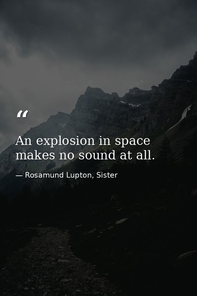 An explosion in space makes no sound at all. — Rosamund Lupton, Sister
