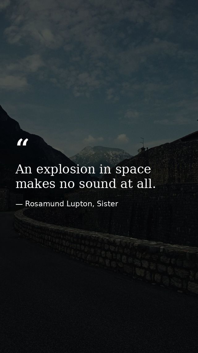 An explosion in space makes no sound at all. — Rosamund Lupton, Sister