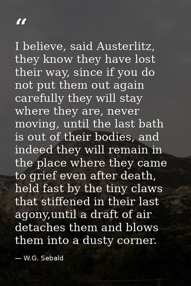 I believe, said Austerlitz, they know they have lost their way, since if you do not put them out again carefully they wi — W.G. Sebald