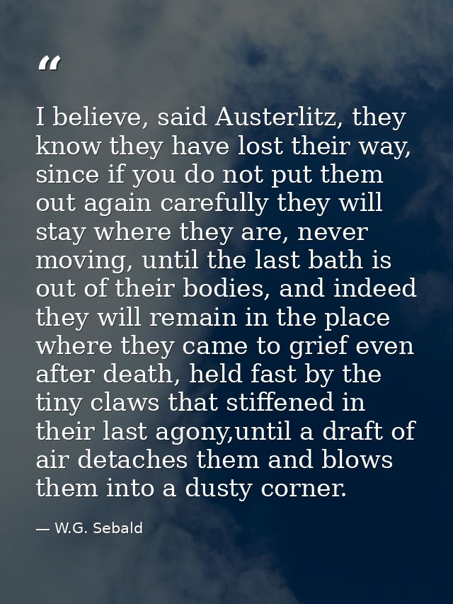 I believe, said Austerlitz, they know they have lost their way, since if you do not put them out again carefully they wi — W.G. Sebald