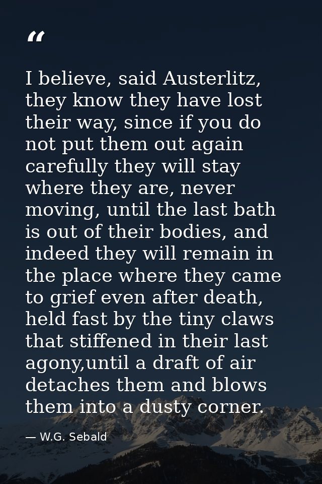 I believe, said Austerlitz, they know they have lost their way, since if you do not put them out again carefully they wi — W.G. Sebald