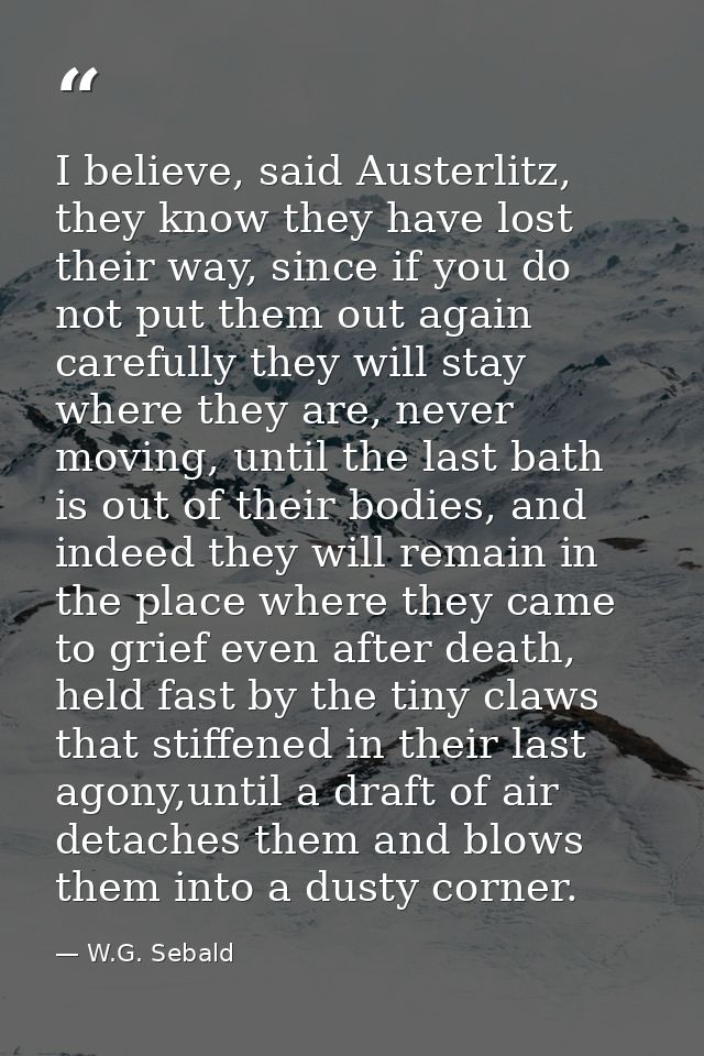 I believe, said Austerlitz, they know they have lost their way, since if you do not put them out again carefully they wi — W.G. Sebald