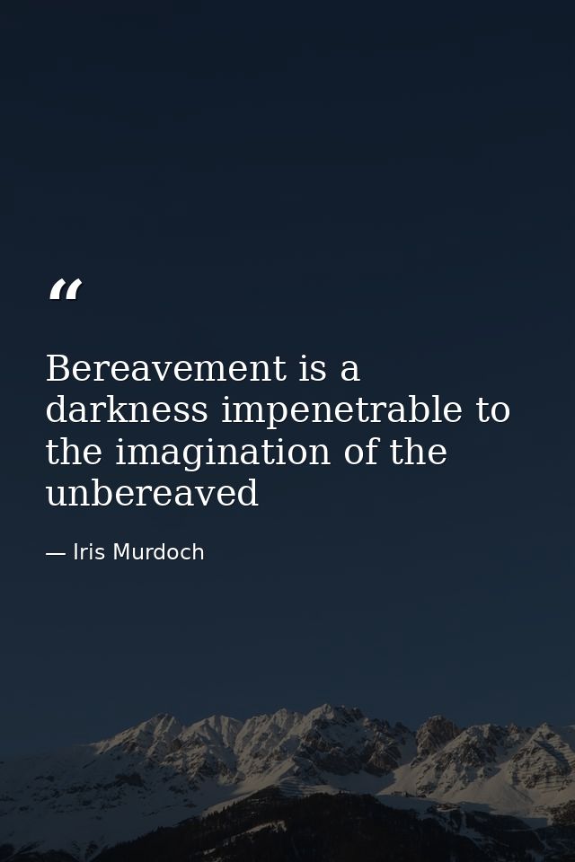 Bereavement is a darkness impenetrable to the imagination of the unbereaved — Iris Murdoch