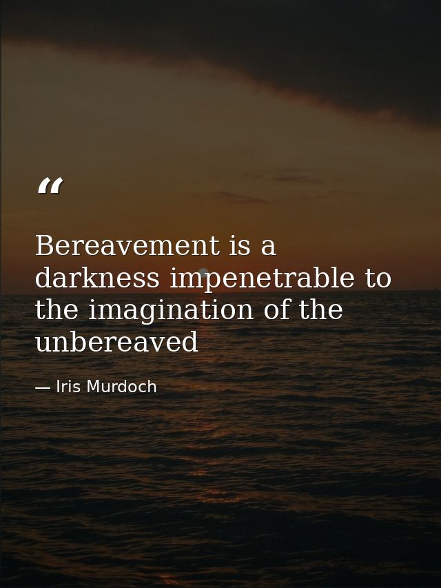 Bereavement is a darkness impenetrable to the imagination of the unbereaved — Iris Murdoch