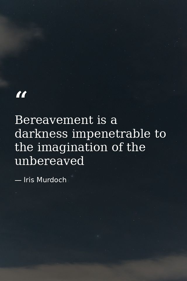 Bereavement is a darkness impenetrable to the imagination of the unbereaved — Iris Murdoch