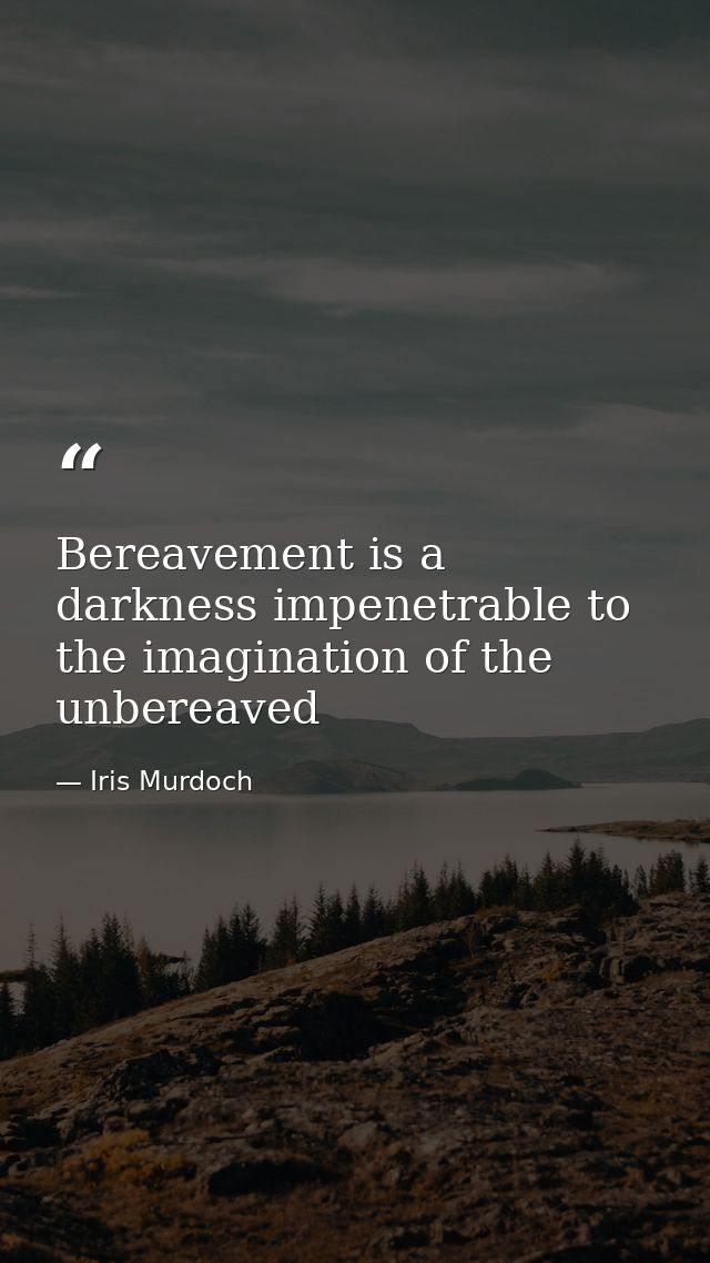 Bereavement is a darkness impenetrable to the imagination of the unbereaved — Iris Murdoch