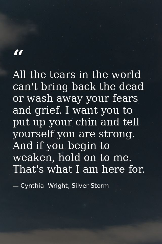 All the tears in the world can't bring back the dead or wash away your fears and grief. I want you to put up your chin a — Cynthia  Wright, Silver Storm