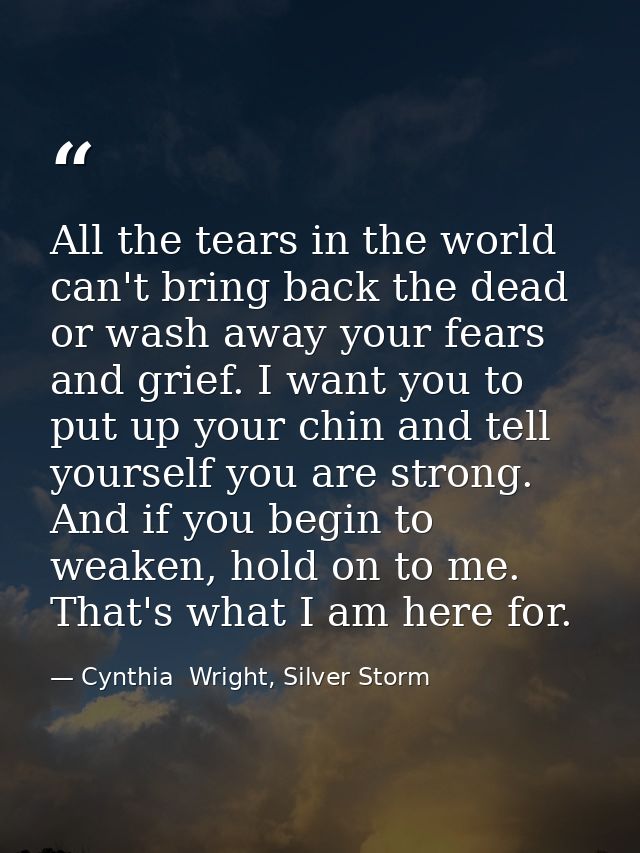 All the tears in the world can't bring back the dead or wash away your fears and grief. I want you to put up your chin a — Cynthia  Wright, Silver Storm