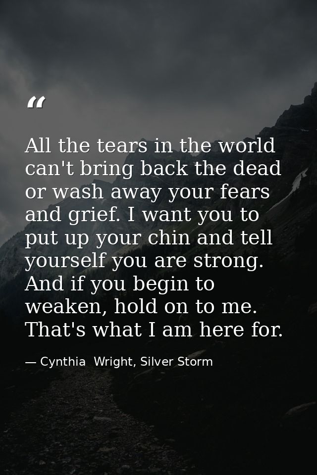 All the tears in the world can't bring back the dead or wash away your fears and grief. I want you to put up your chin a — Cynthia  Wright, Silver Storm