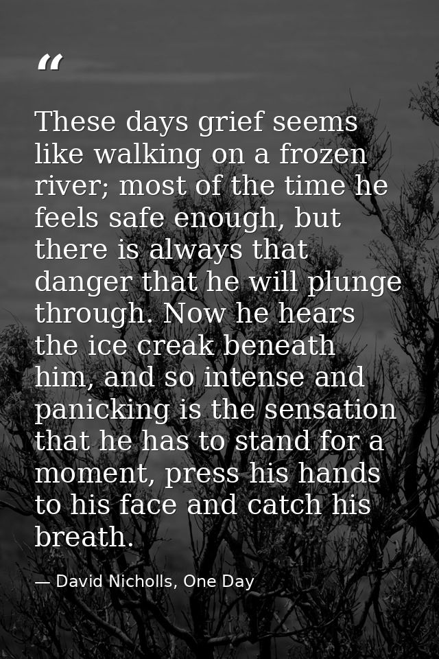 These days grief seems like walking on a frozen river; most of the time he feels safe enough, but there is always that d — David Nicholls, One Day