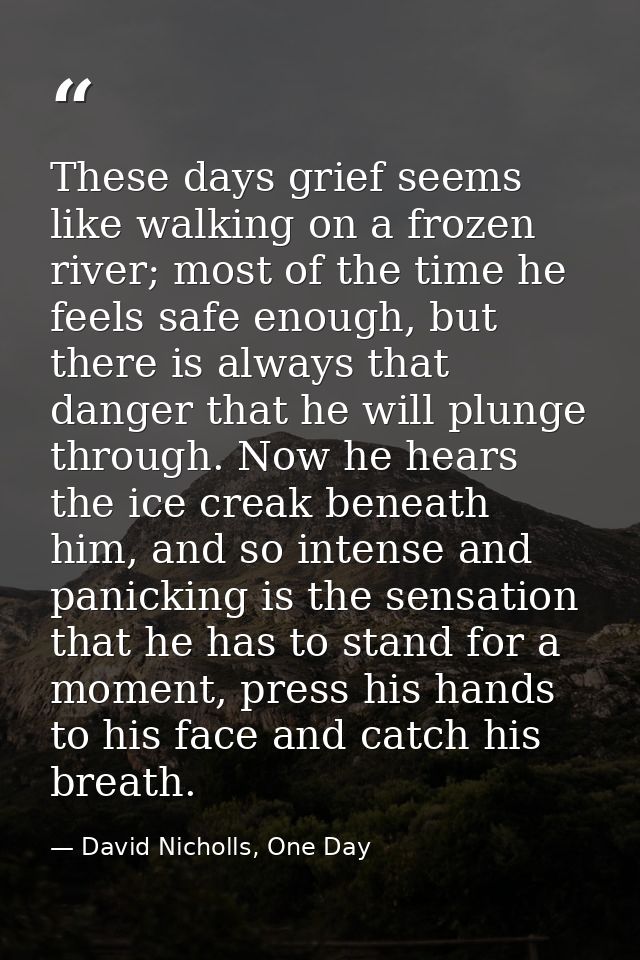 These days grief seems like walking on a frozen river; most of the time he feels safe enough, but there is always that d — David Nicholls, One Day