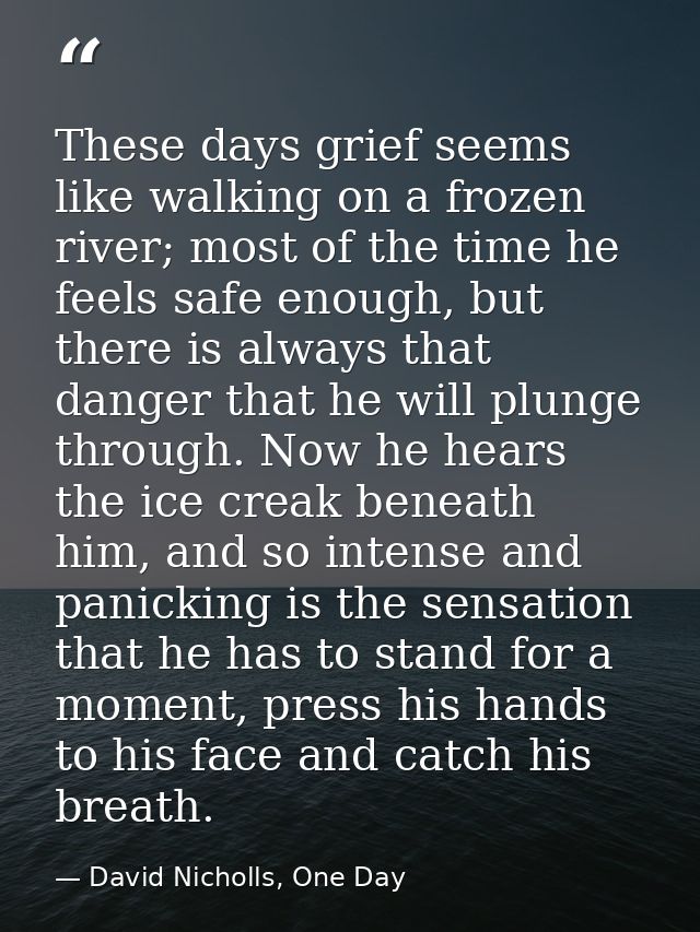 These days grief seems like walking on a frozen river; most of the time he feels safe enough, but there is always that d — David Nicholls, One Day