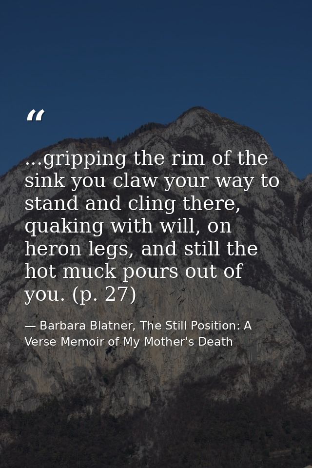 ...gripping the rim of the sink you claw your way to stand and cling there, quaking with will, on heron legs, and still  — Barbara Blatner, The Still Position: A Verse Memoir of My Mother's Death