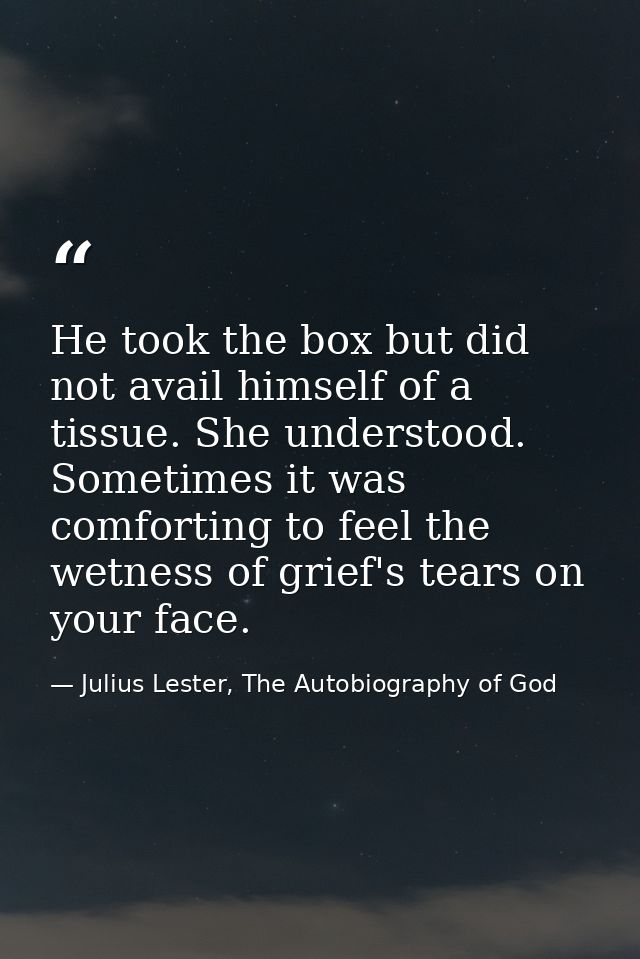 He took the box but did not avail himself of a tissue. She understood. Sometimes it was comforting to feel the wetness o — Julius Lester, The Autobiography of God