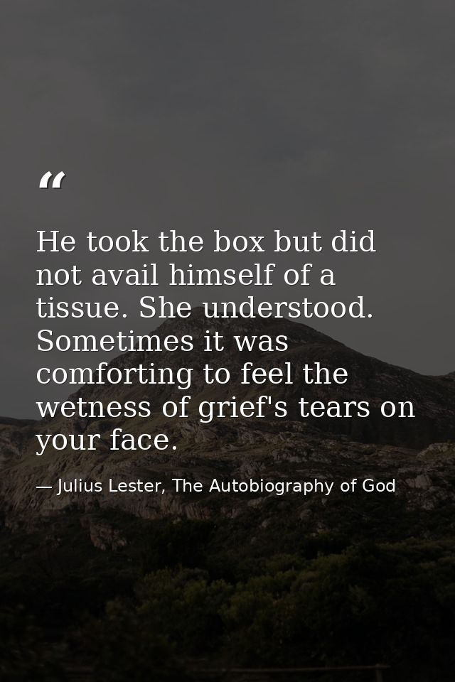 He took the box but did not avail himself of a tissue. She understood. Sometimes it was comforting to feel the wetness o — Julius Lester, The Autobiography of God