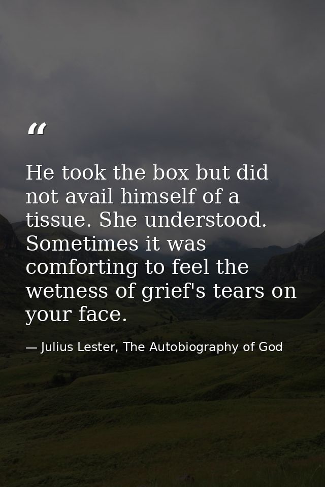 He took the box but did not avail himself of a tissue. She understood. Sometimes it was comforting to feel the wetness o — Julius Lester, The Autobiography of God